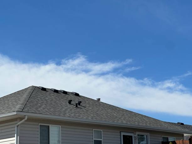 Reliable Virginia Beach, VA Roofing service Solutions